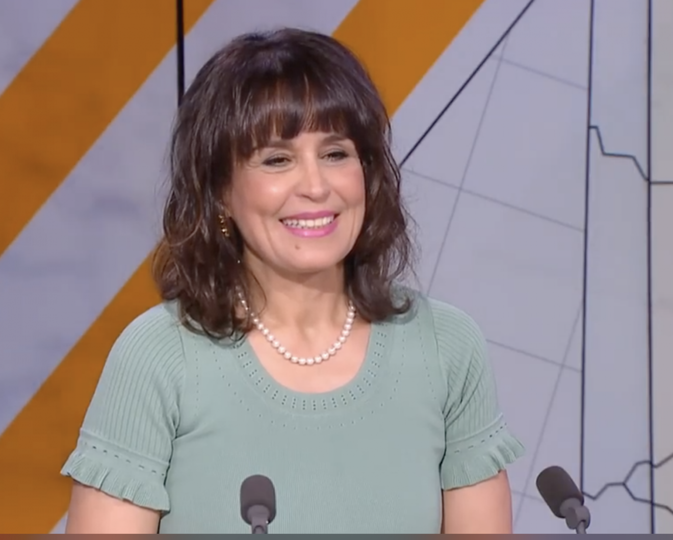 Entretien de Razika Adnani avec Wassim Alahmar sur France 24 Razika